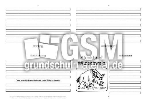 Wildschwein-Faltbuch-vierseitig-2.pdf